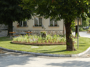 Trajnice na javnih površinah