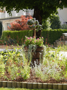 Ureditev okolice s tranjicami